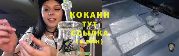 a pvp Бородино