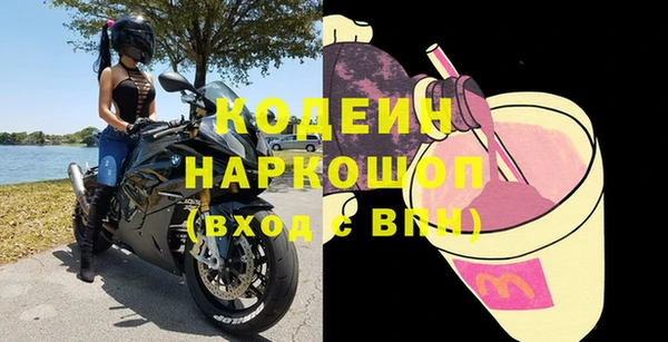 a pvp Бородино
