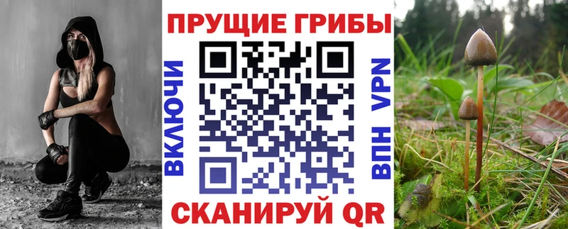 Псилоцибиновые грибы MAGIC MUSHROOMS  кракен вход  Певек 
